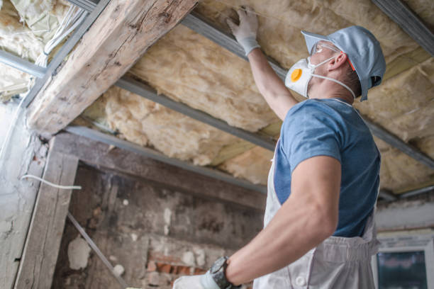 Best Insulation Maintenance and Repair in Crimora, VA